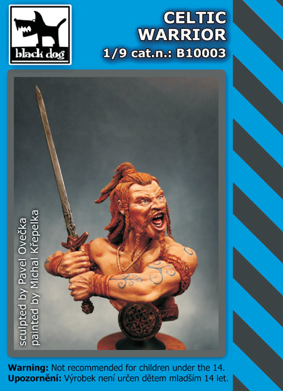 1/9 Celtic warrior