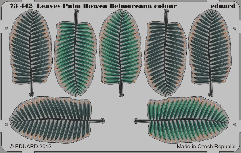 SET Leaves Palm Howea Belmoreana colour