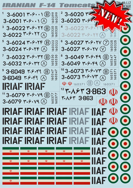 1/48 Iranian F-14 Tomcats (wet decals)