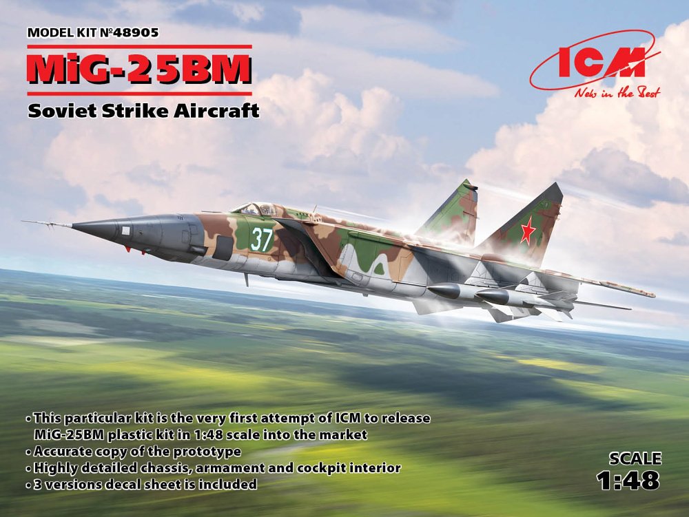 1/48 MiG-25 BM Soviet Strike Aircraft