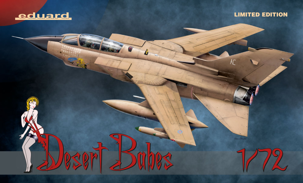 1/72 DESERT BABES (Limited edition)