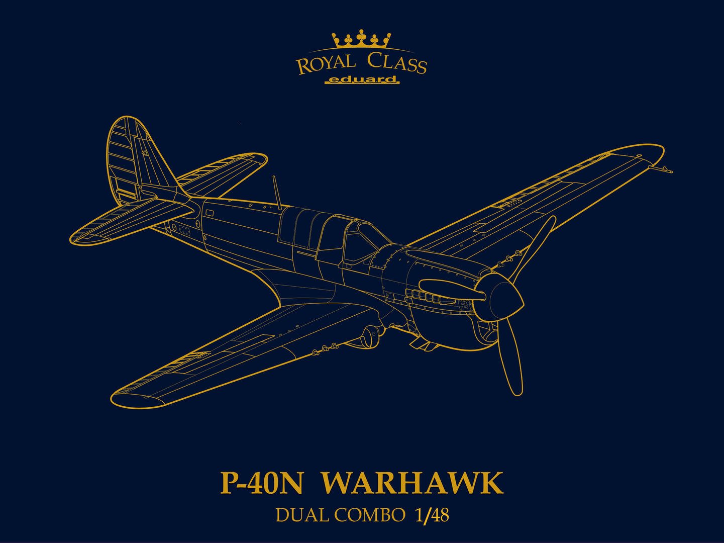 1/48 P-40N Warhawk DUAL COMBO (ROYAL CLASS) 