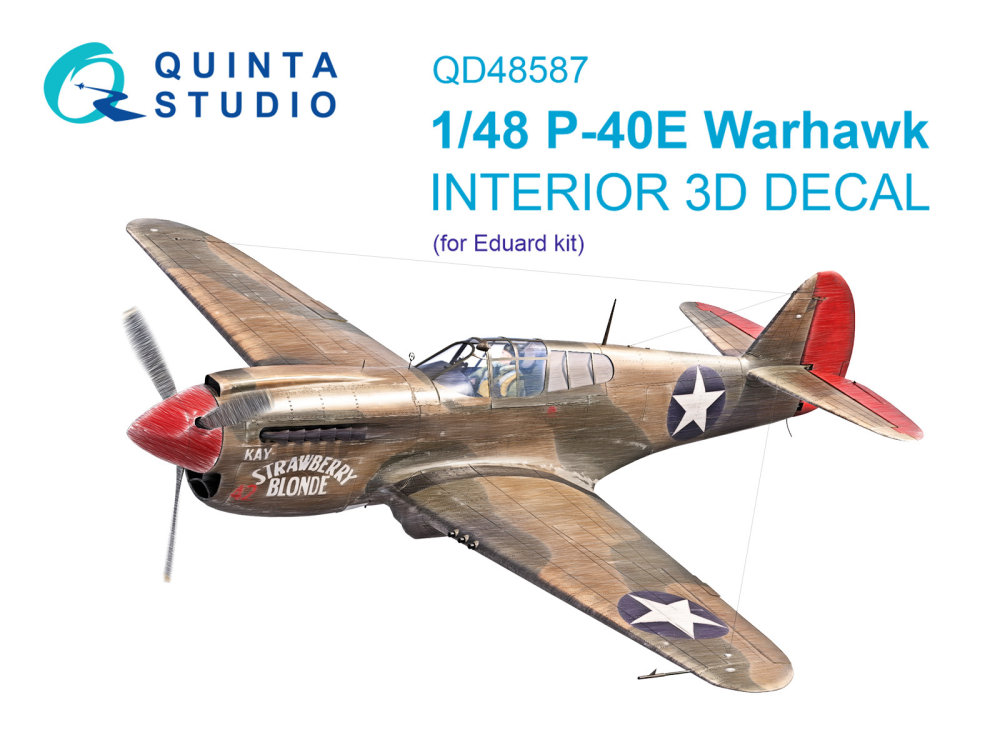 1/48 P-40E Warhawk 3D-Print.&col.interior (EDU)