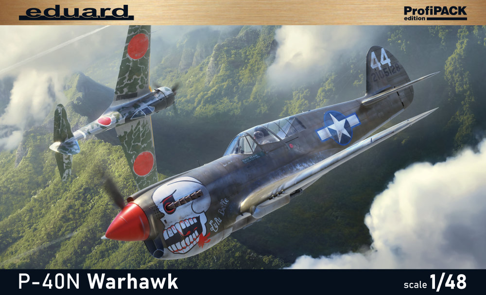 1/48 P-40N Warhawk (PROFIPACK)
