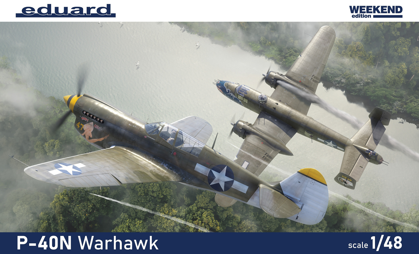 1/48 P-40N Warhawk (Weekend Edition)