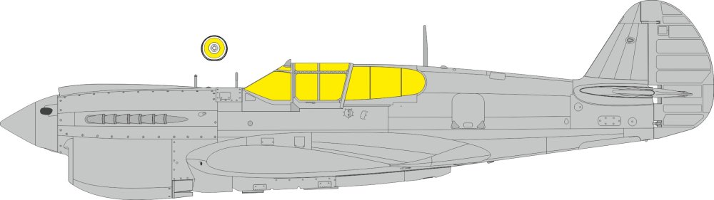 Mask 1/48 P-40K TFace (EDU)