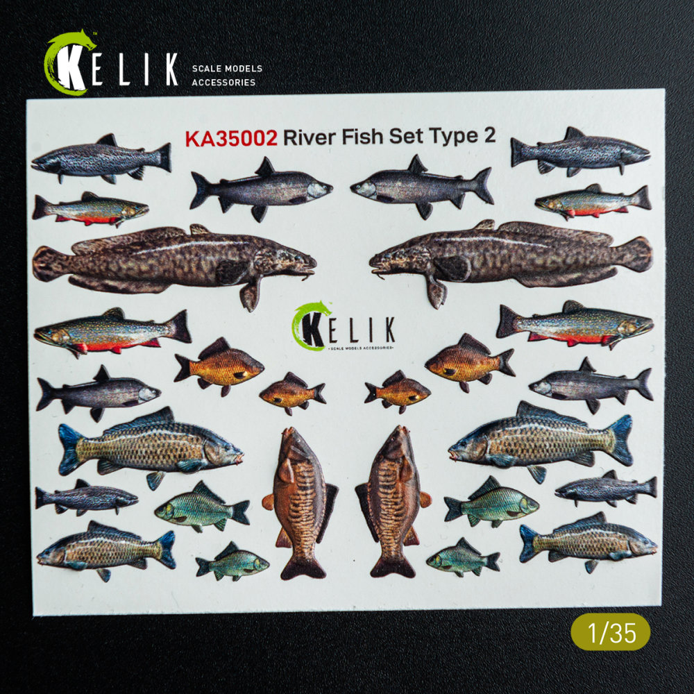 1/35 River Fish set Type 2 - 3D Decal for dioramas