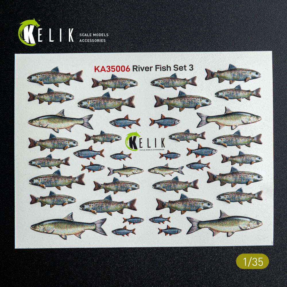 1/35 River Fish set Type 3 - 3D Decal for dioramas