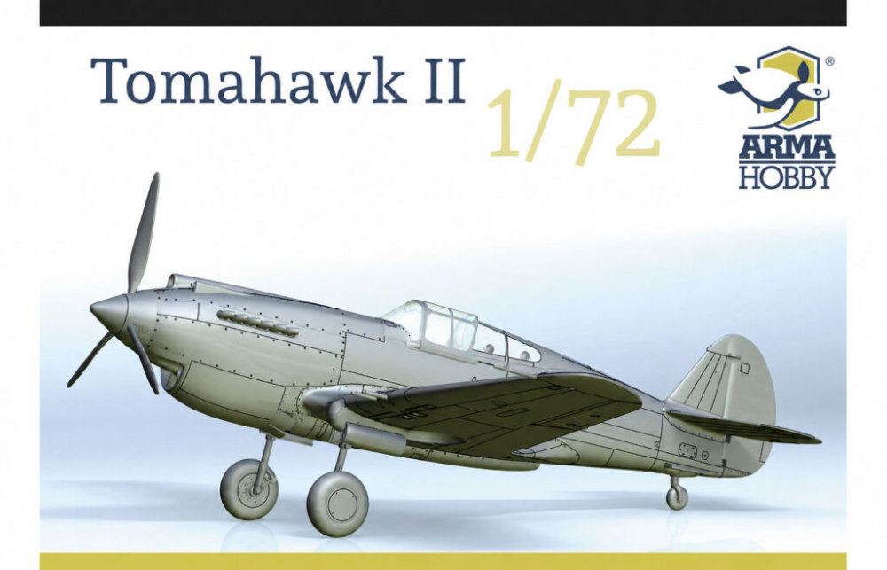 1/72 Curtiss Tomahawk II (2x camo)