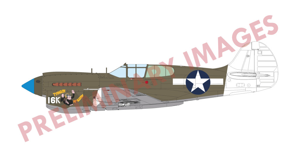 1/48 P-40K short tail (PROFIPACK)